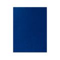 FIELTRO LIDERPAPEL 50X70CM AZUL OSCURO 160G/M2 FIELTRO LIDERPAPEL 50X70CM AZUL OSCURO 160G/M2