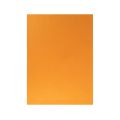 FIELTRO LIDERPAPEL 50X70CM NARANJA 160G/M2 FIELTRO LIDERPAPEL 50X70CM NARANJA 160G/M2