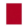 FIELTRO LIDERPAPEL 50X70CM ROJO 160G/M2 FIELTRO LIDERPAPEL 50X70CM ROJO 160G/M2