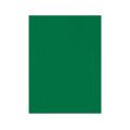 FIELTRO LIDERPAPEL 50X70CM VERDE 160G/M2 FIELTRO LIDERPAPEL 50X70CM VERDE 160G/M2