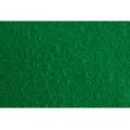 FIELTRO LIDERPAPEL 50X70CM VERDE 160G/M2 FIELTRO LIDERPAPEL 50X70CM VERDE 160G/M2