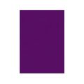 FIELTRO LIDERPAPEL 50X70CM VIOLETA 160G/M2 FIELTRO LIDERPAPEL 50X70CM VIOLETA 160G/M2