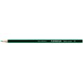 LAPIZ DE COLOR STAEDTLER WOPEX ECOLOGICO COLOR VERDE