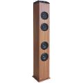 TORRE DE SONIDO DAEWOO DSK610 40W - COLOR MADERA TORRE DE SONIDO DAEWOO DSK610 40W - COLOR MADERA
