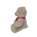 PELUCHE OSITO PELUCHE 25CM PELUCHE OSITO PELUCHE 25CM