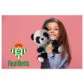 PELUCHE OSITO PANDA 20CM CON CAMISETA PELUCHE OSITO PANDA 20CM CON CAMISETA