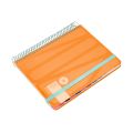 AGENDA ANTARTIK 2025 ESPIRAL BOLD A5+ 80GRS. DIA PAGINA PAPEL 80GRS. COLOR ROSA MELOCOTON AGENDA ANTARTIK 2025 ESPIRAL BOLD A5+ 80GRS. DIA PAGINA PAPEL 80GRS. COLOR ROSA MELOCOTON